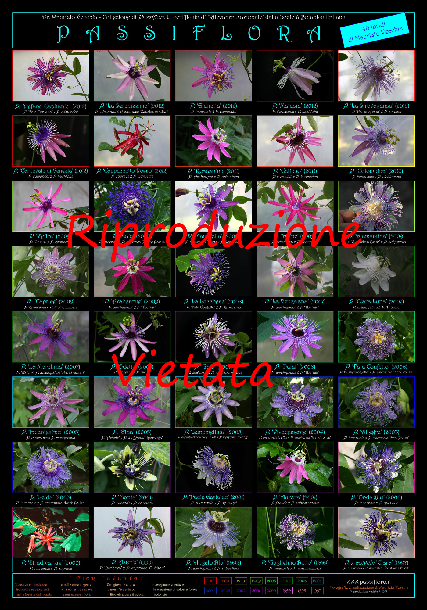 Passiflora Poster | Italian National Collection of M. Vecchia
